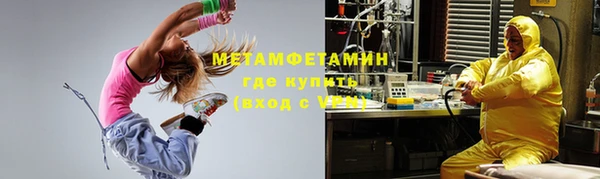 шишки Верхний Тагил