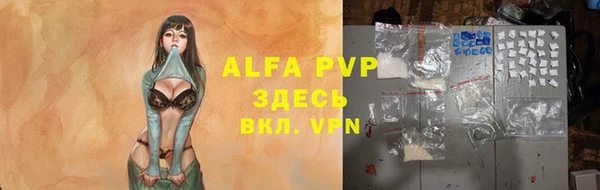 шишки Верхний Тагил