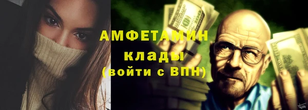 хмурый Верея