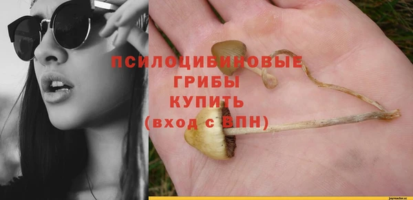 прущие грибы Верхнеуральск