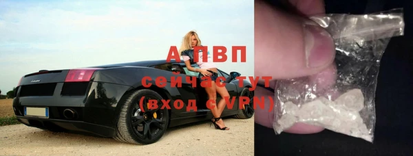 хмурый Верея
