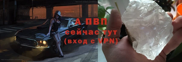хмурый Верея