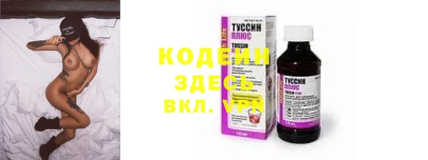 хмурый Верея