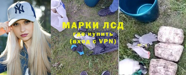 шишки Верхний Тагил