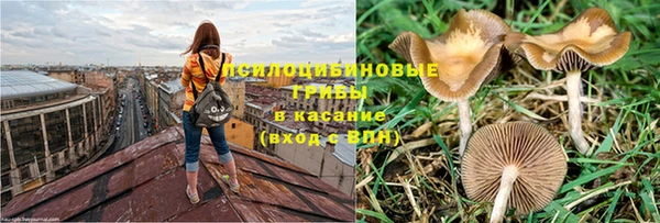прущие грибы Верхнеуральск