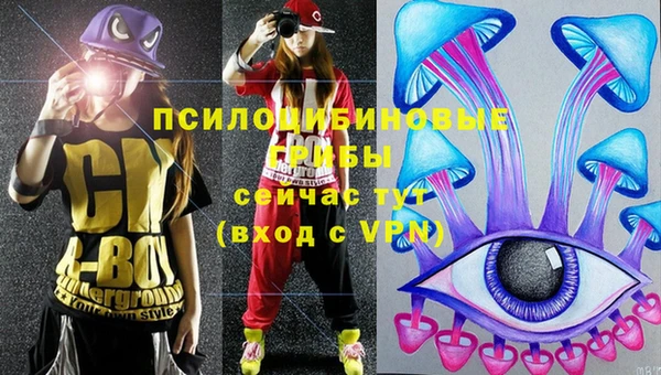 прущие грибы Верхнеуральск