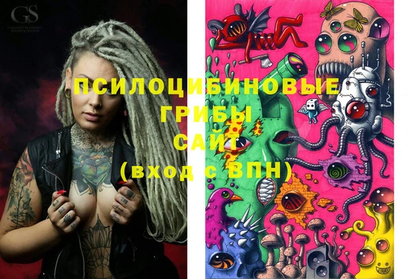 шишки Верхний Тагил