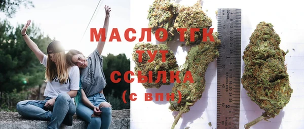 шишки Верхний Тагил