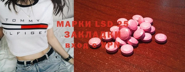 прущие грибы Верхнеуральск