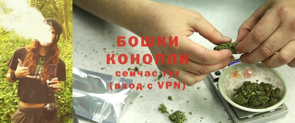 прущие грибы Верхнеуральск