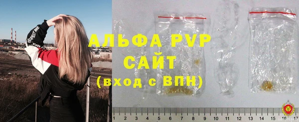 прущие грибы Верхнеуральск