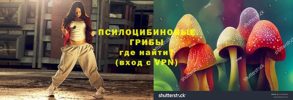 шишки Верхний Тагил