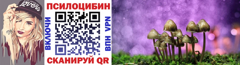 сколько стоит  маркетплейс Telegram  кракен как войти  Галлюциногенные грибы мухоморы  Ростов 